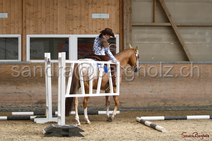 28-ApHC OT_003.jpg